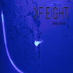 Jellyfish