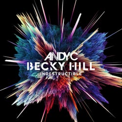 Indestructible (Joshwa Extended Remix)