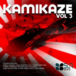 Kamikaze Vol 3