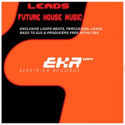 Leads Future House Music Loops
