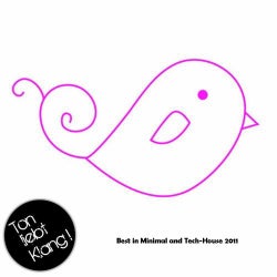 Best In Minimal And Tech-house 2011