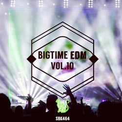 Bigtime EDM, Vol. 10