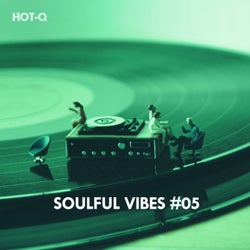 Soulful Vibes, Vol. 05