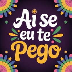 Ai se eu te pego (Mixes)