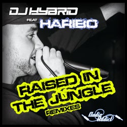 Raised In The Jungle Remixes