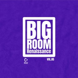 Big Room Renaissance, Vol.5
