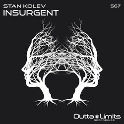Insurgent