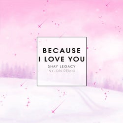 Because I Love You (NY~ON Remix)
