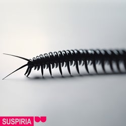 Suspiria