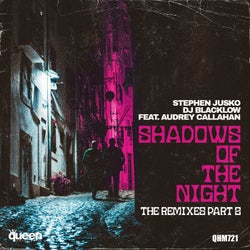 Shadows of the Night (The Remixes, Pt. 2)