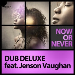 Dub Deluxe Feat. Jenson Vaughan - Now Or Never