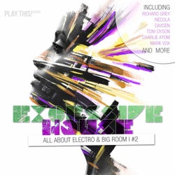Excessive House Vol. 2 - All About Electro & Big Room