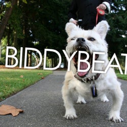 Biddy Beats Spring 2012 Chart