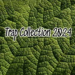 Trap Collection 2024