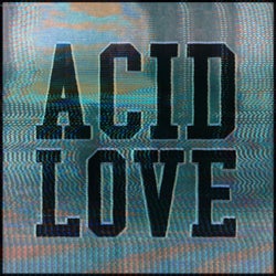 Get Physical Presents: Acid Love - Compiled & Mixed by Roland Leesker