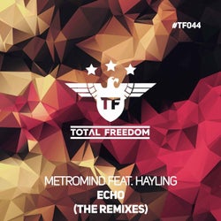 Echo (feat. Hayling) [The Remixes]