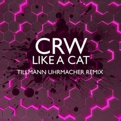 Like A Cat (Tillmann Uhrmacher Remix)