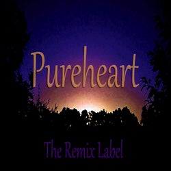 Pureheart (Paduraru Inspiring House Music Mix)