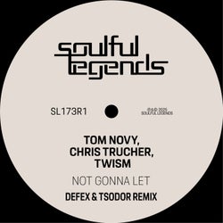 Not Gonna Let (Defex & Tsodor Remix)