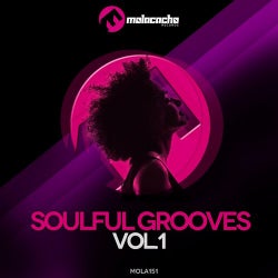 Soulful Grooves, Vol. 1
