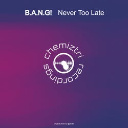 Never Too Late