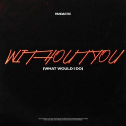 Without You (What Would I Do)