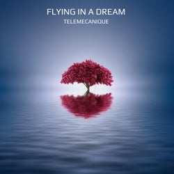 Flying in a Dream