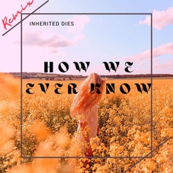 How We Ever Know (DJ Jim Remix)