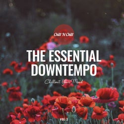 The Essential Downtempo, Vol. 3: Chillout Your Mind