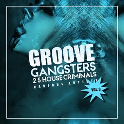 Groove Gangsters, Vol. 3 (25 House Criminals)