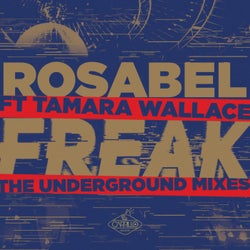 Freak: The Underground Mixes (Remixes)