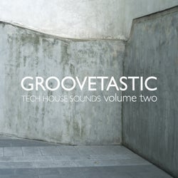Groovetastic, Vol. 2 - Tech House Sounds