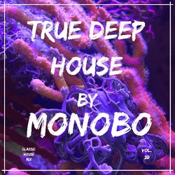 True Deep House vol.20