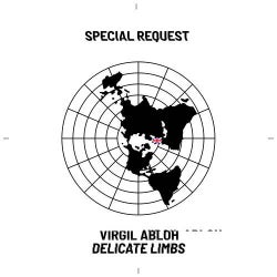 Delicate Limbs (Special Request Remix) [Extended Mix]