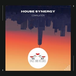 House Synergy