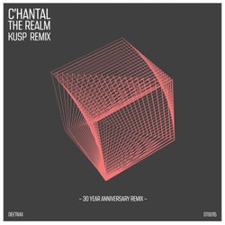 The Realm - KUSP (UK) Remix