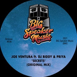 Secrets (feat. DJ Biddy & Priya) [Original Mix]
