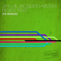 Never Trust The Remixes