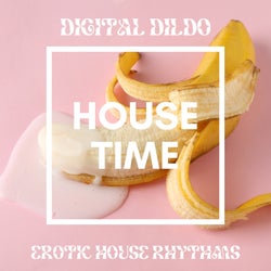 Digital Dildo (Erotic House Rhythms)