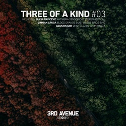 Three of a Kind #03