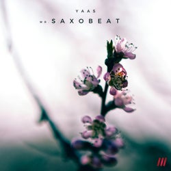 Mr. Saxobeat