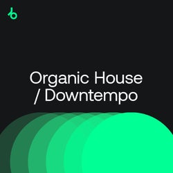 Future Classics 2021: Organic House/Downtempo