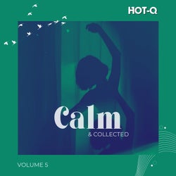 Calm & Collected 005