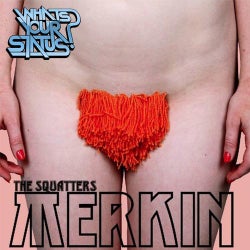 Merkin