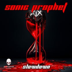 Slowdown (Original Mix)
