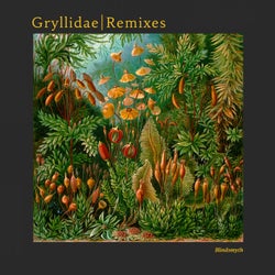 Gryllidae Remixes