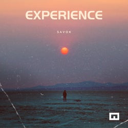 Experience