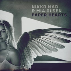 Paper Hearts