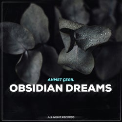 Obsidian Dreams