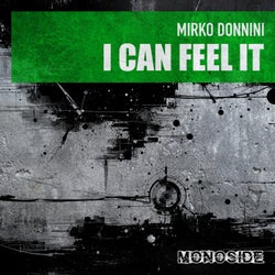 I Can Feel It
